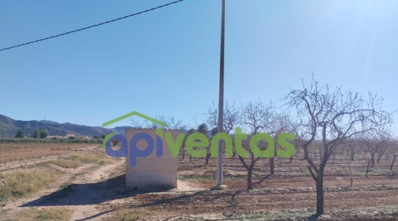 Múrcia - Lorca - 11003m2