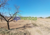 Terreno no urbanizable en venta en la España, Lorca, ref: TR310566 foto