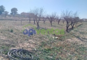 Terreno no urbanizable en venta en la España, Lorca, ref: TR310566 foto