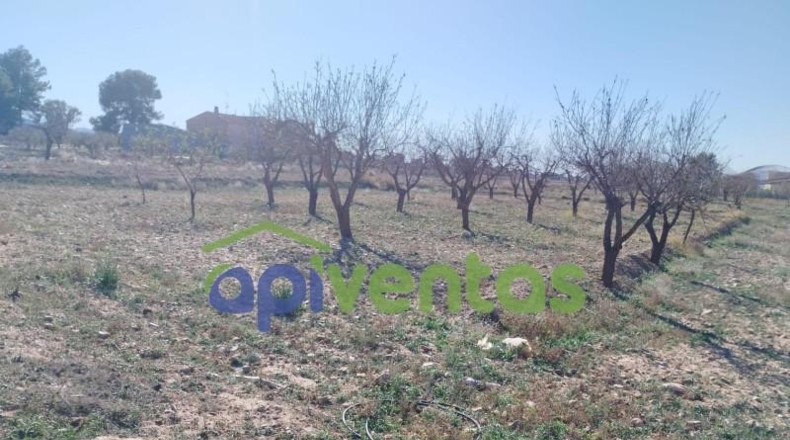 Múrcia - Lorca - 11003m2