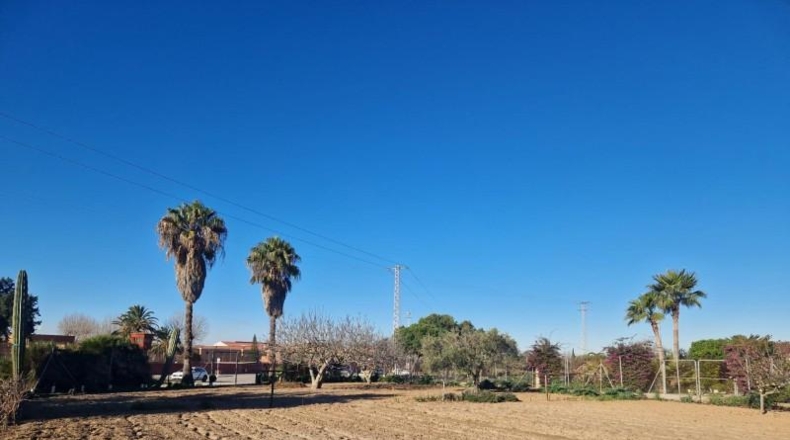 Cádiz - El Puerto de Santa María - 1079m2