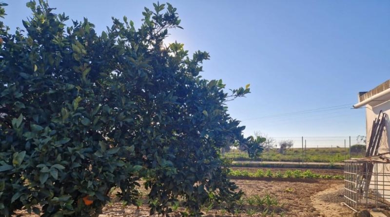 Cádiz - El Puerto de Santa María - 1079m2