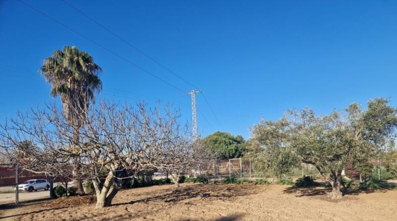 Cádiz - El Puerto de Santa María - 1079m2