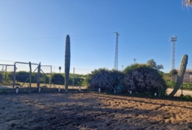 Foto 12