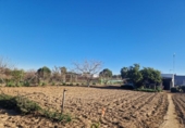 Terreny no urbanitzable en venda a la España, El Puerto de Santa María, ref.: TR224603 foto