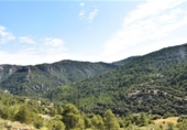 Xalet independent amb terreny en venda a la España, Pena-roja de Tastavins, ref.: TR291478 foto