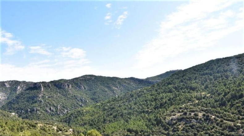 Teruel - Пеньярроя-де-Таставинс - 114600m2