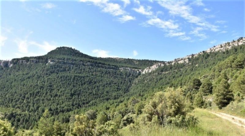Teruel - Пеньярроя-де-Таставинс - 114600m2