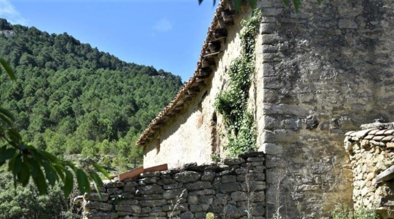 Teruel - Пеньярроя-де-Таставинс - 114600m2