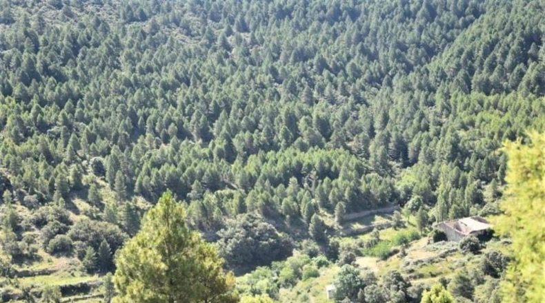 Teruel - Пеньярроя-де-Таставинс - 114600m2