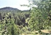 Xalet independent amb terreny en venda a la España, Pena-roja de Tastavins, ref.: TR291478 foto