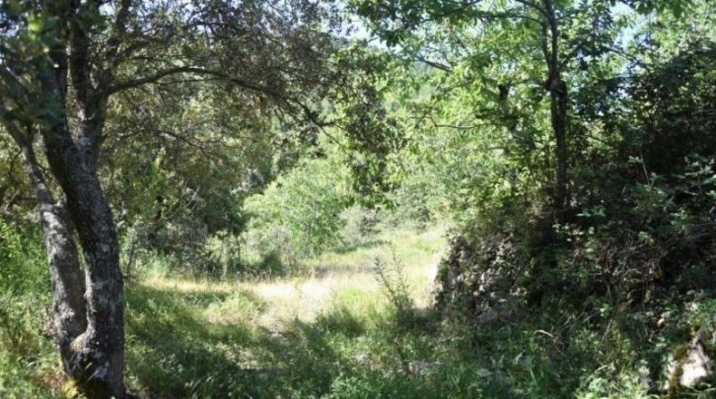 Teruel - Пеньярроя-де-Таставинс - 114600m2