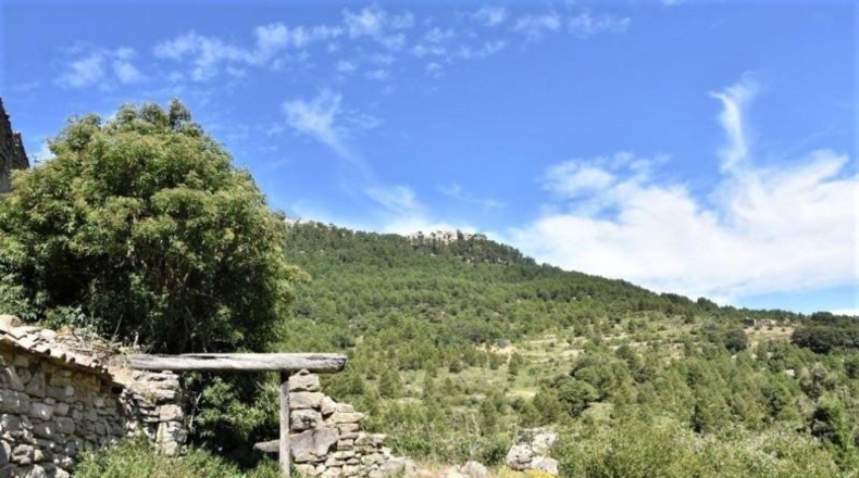 Teruel - Пеньярроя-де-Таставинс - 114600m2