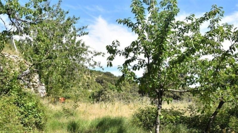 Teruel - Пеньярроя-де-Таставинс - 114600m2