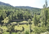 Xalet independent amb terreny en venda a la España, Pena-roja de Tastavins, ref.: TR291478 foto