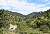 Xalet independent amb terreny en venda a la España, Pena-roja de Tastavins, ref.: TR291478 foto