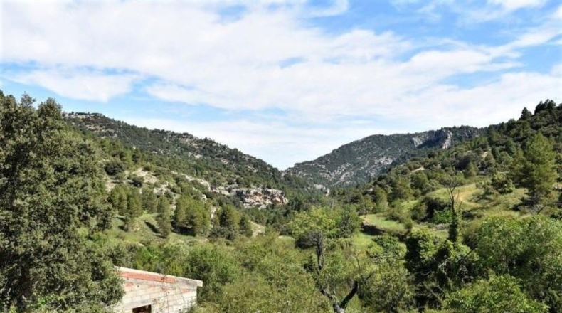 Teruel - Пеньярроя-де-Таставинс - 114600m2