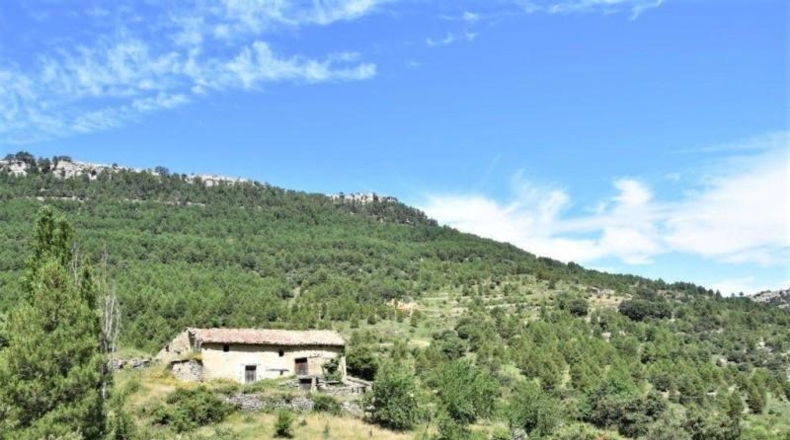Teruel - Пеньярроя-де-Таставинс - 114600m2