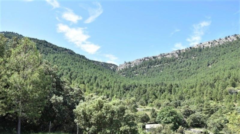 Teruel - Пеньярроя-де-Таставинс - 114600m2