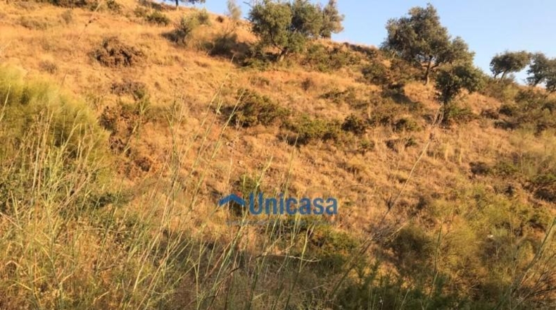 Malaga - Málaga - 3000m2