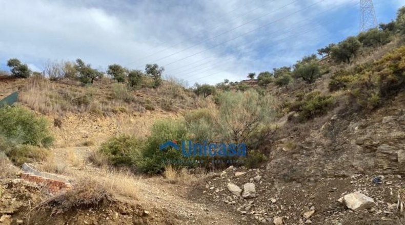 Malaga - Málaga - 3000m2