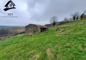Detached villa with land for sale on España, Selaya, ref: TR332121 photo