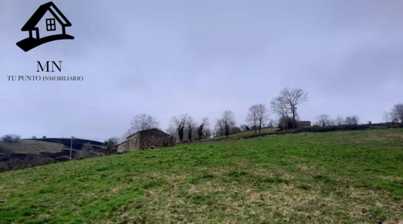 Cantabria - Selaya - 28158m2