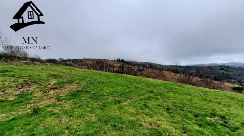 Cantabria - Selaya - 28158m2