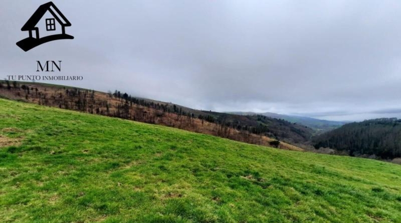 Cantabria - Selaya - 28158m2