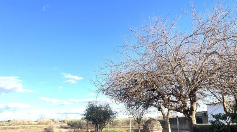 Badajoz - Don Benito - 5595m2