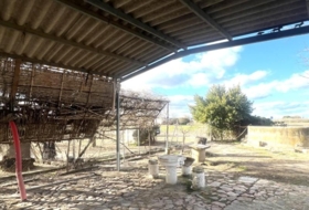 Foto 14