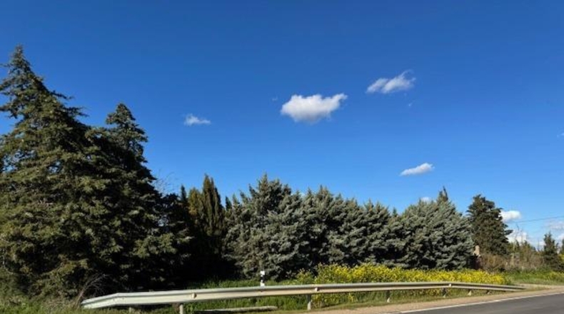 Zamora - Coreses - 5539m2