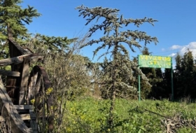Coreses 5539&nbsp;м²