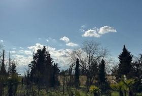 Coreses 5539&nbsp;м²