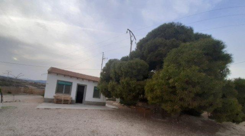 Alicante - Novelda - 12000m2