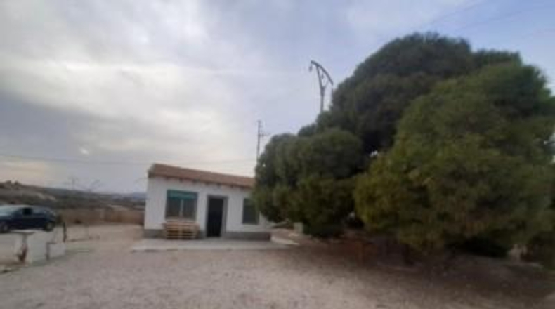 Alicante - Novelda - 12000m2