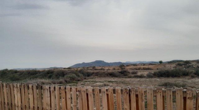 Alicante - Novelda - 12000m2