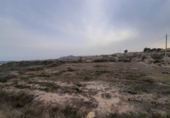 Finca rústica en venda a la España, Novelda, ref.: TR296518 foto
