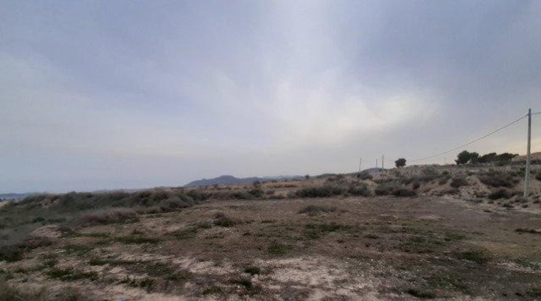 Alicante - Novelda - 12000m2