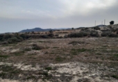 Finca rústica en venda a la España, Novelda, ref.: TR296518 foto