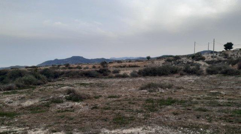 Alicante - Novelda - 12000m2