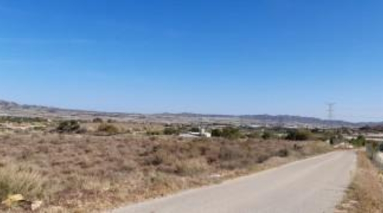 Alicante - Novelda - 30000m2