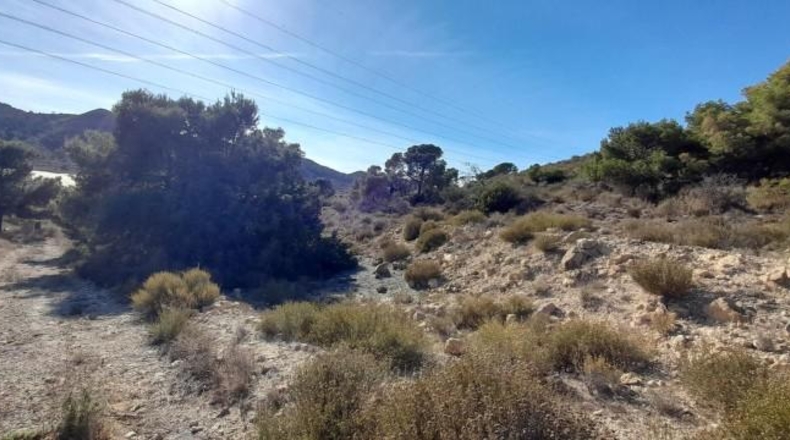 Alicante - Novelda - 30000m2