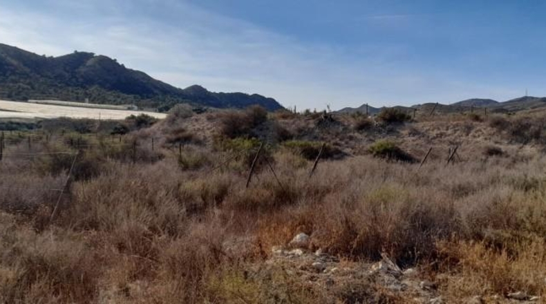 Alicante - Novelda - 30000m2