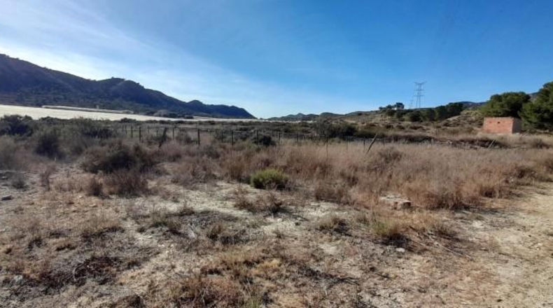 Alicante - Novelda - 30000m2