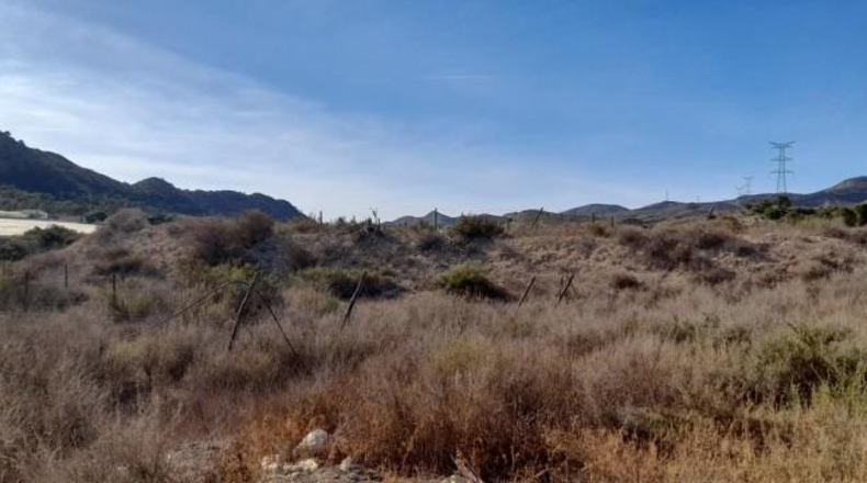 Alicante - Novelda - 30000m2
