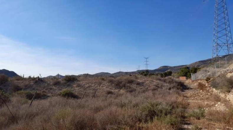 Alicante - Novelda - 30000m2