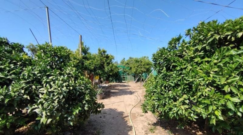 Cádiz - Chipiona - 5000m2