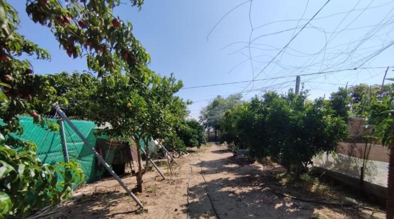 Cádiz - Chipiona - 5000m2