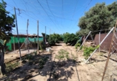 Terreny no urbanitzable en venda a la España, Chipiona, ref.: TR122708 foto